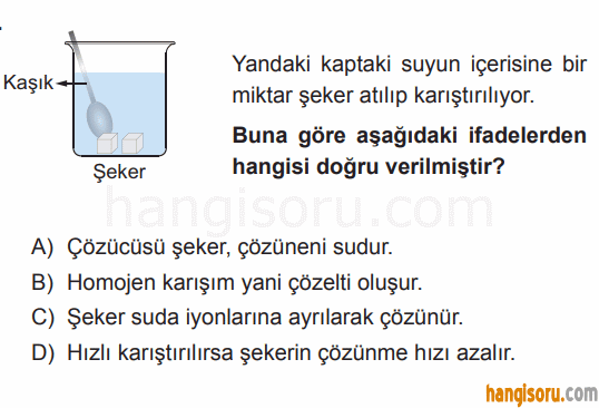Soru 8