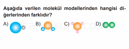 Soru 8