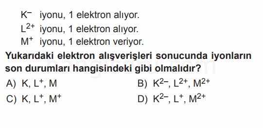 Soru 10