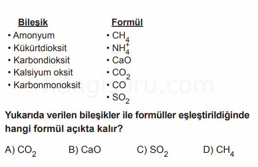Soru 11