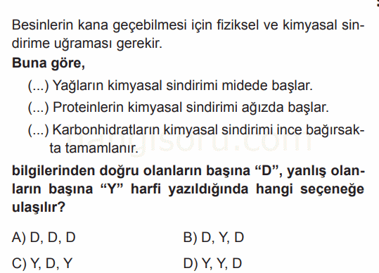 Soru 1
