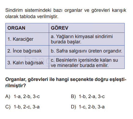 Soru 3