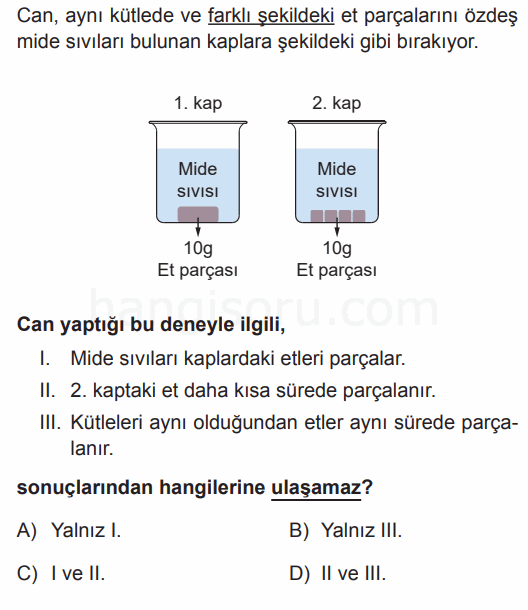 Soru 5