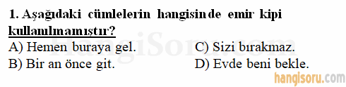 Soru 1