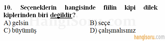Soru 10