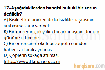 Soru 17