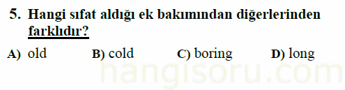 Soru 5