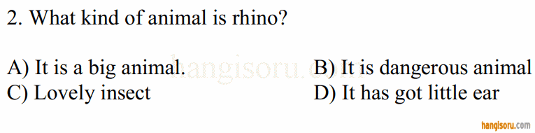 Soru 2