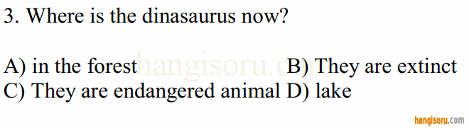 Soru 3