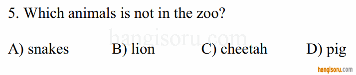 Soru 5