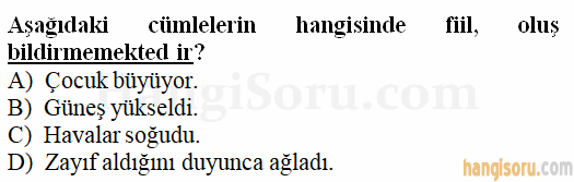 Soru 4