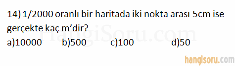 Soru 14