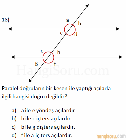 Soru 18