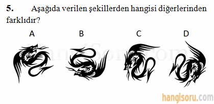 Soru 5