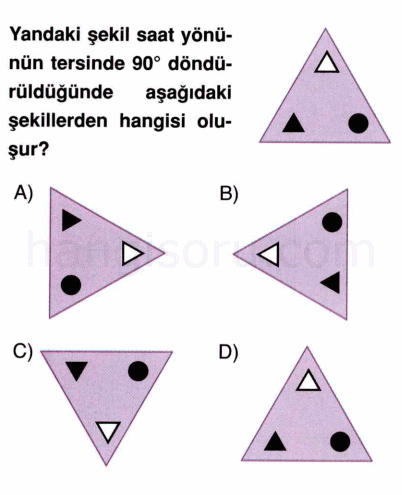 Soru 1