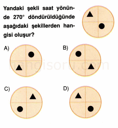 Soru 7