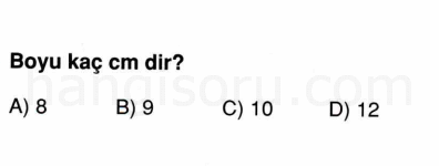 Soru 2