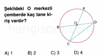 Soru 8