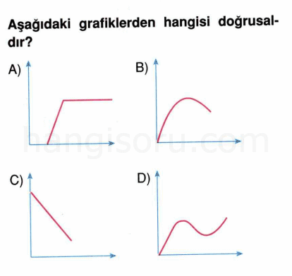 Soru 1