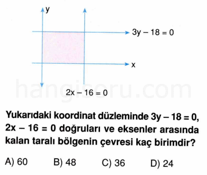 Soru 7