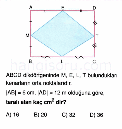 Soru 8