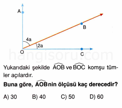 Soru 8