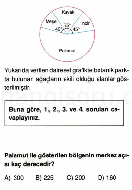 Soru 1
