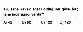 Soru 2
