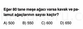 Soru 3