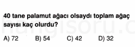 Soru 4