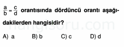 Soru 3