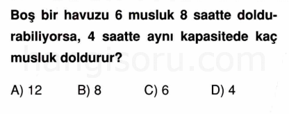 Soru 7