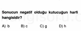 Soru 7