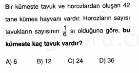 Soru 4