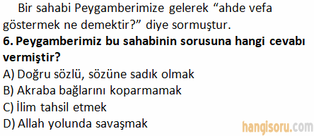 Soru 6
