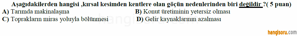 Soru 5