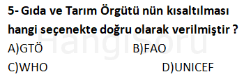 Soru 5
