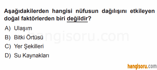 Soru 8