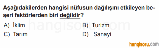 Soru 11