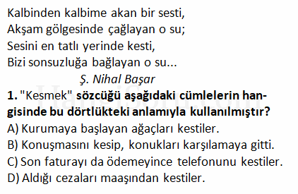 Soru 1