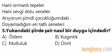 Soru 5
