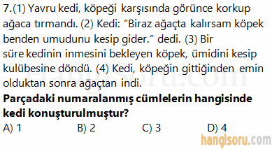 Soru 7
