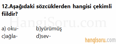 Soru 12
