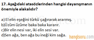 Soru 17