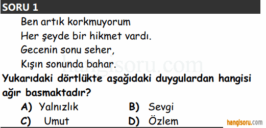 Soru 1