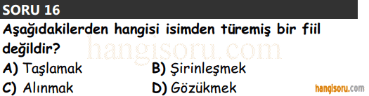 Soru 16