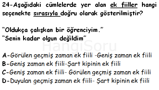 Soru 24