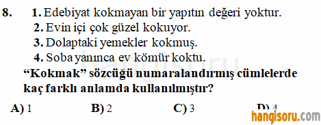 Soru 8