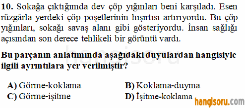 Soru 10