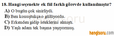 Soru 18